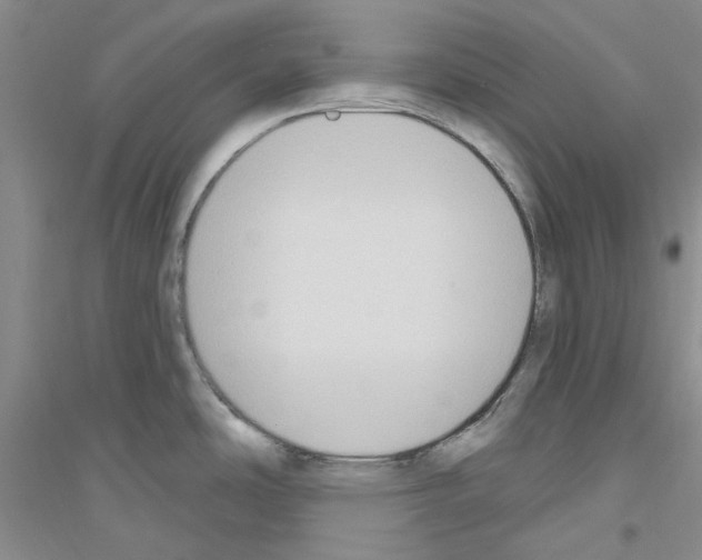 X0000116891486201002021159