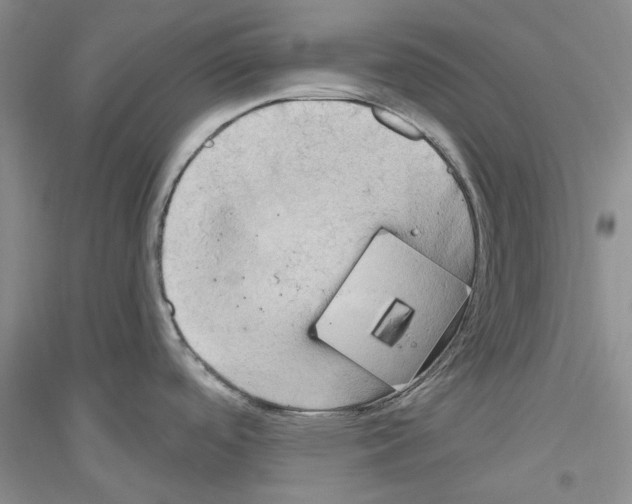 X0000116891488201002021158