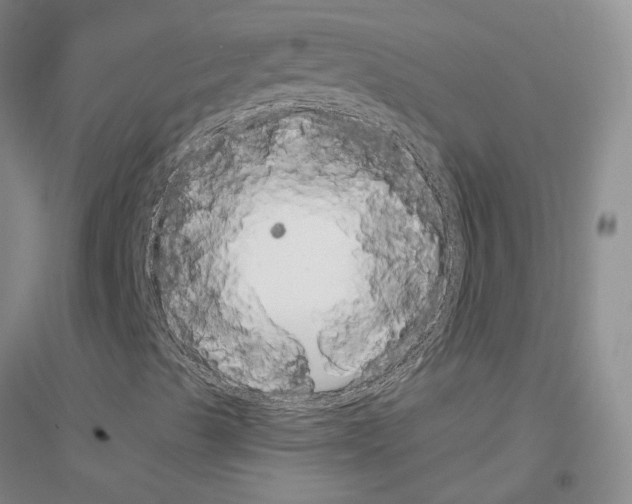 X0000116891489201002021158