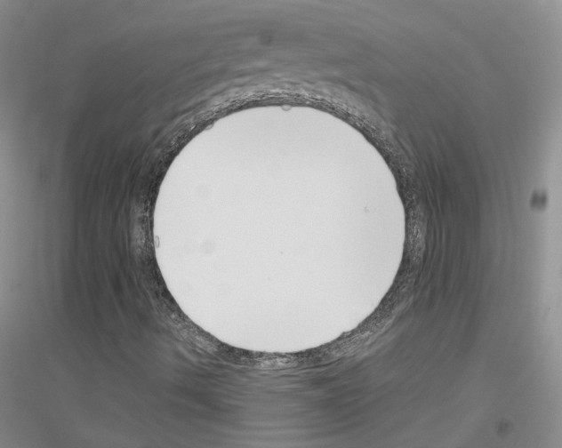 X0000116891490201002021158