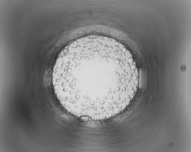 X0000116891491201002021158