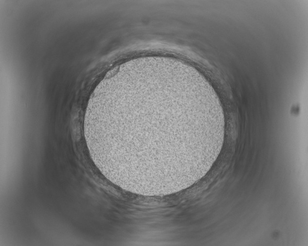 X0000116891493201002021158