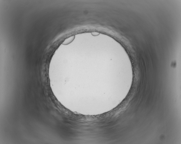 X0000116891494201002021158