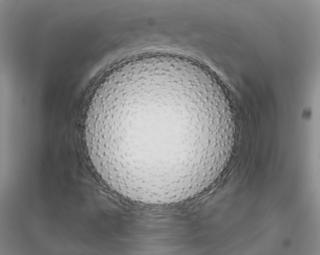 X0000116891495201002021158