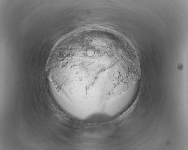 X0000116891497201002021158