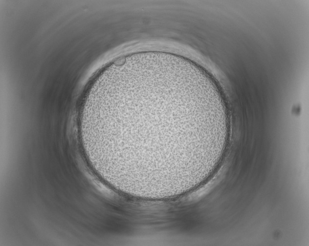 X0000116891498201002021158