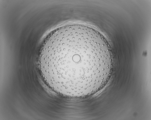 X0000116891499201002021158