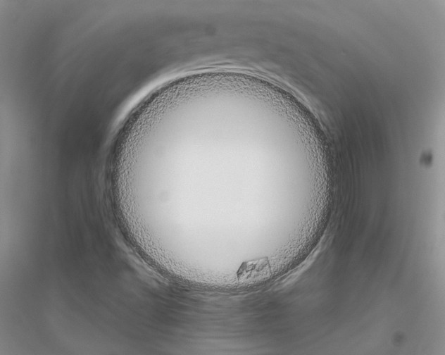 X0000116891502201002021158