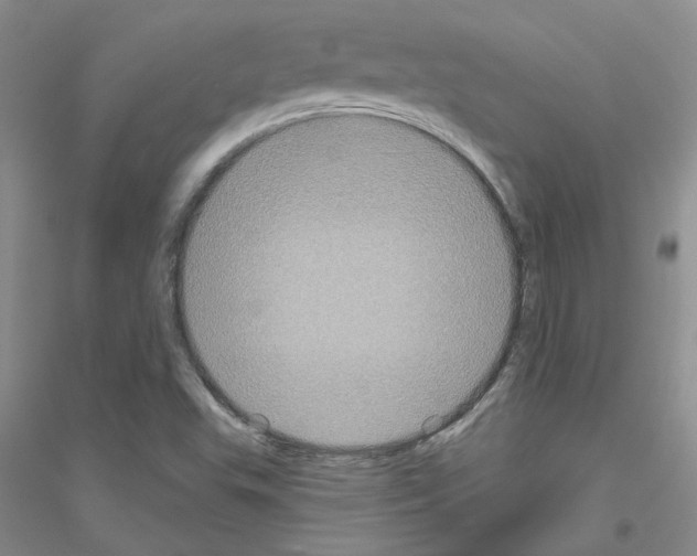 X0000116891503201002021158