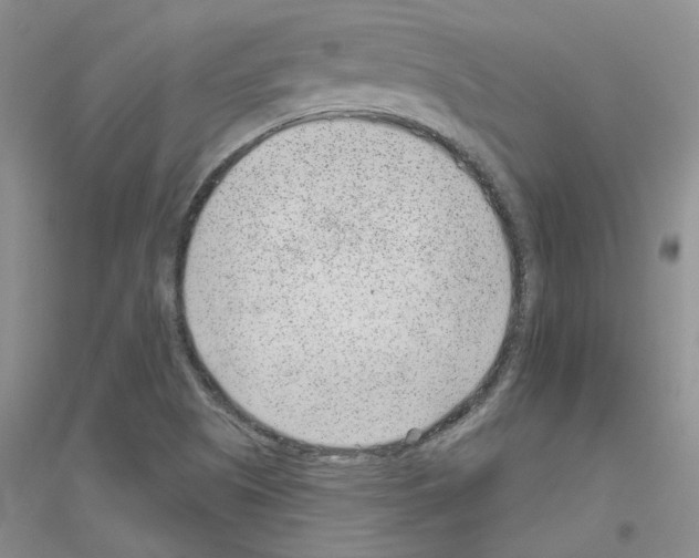 X0000116891505201002021158