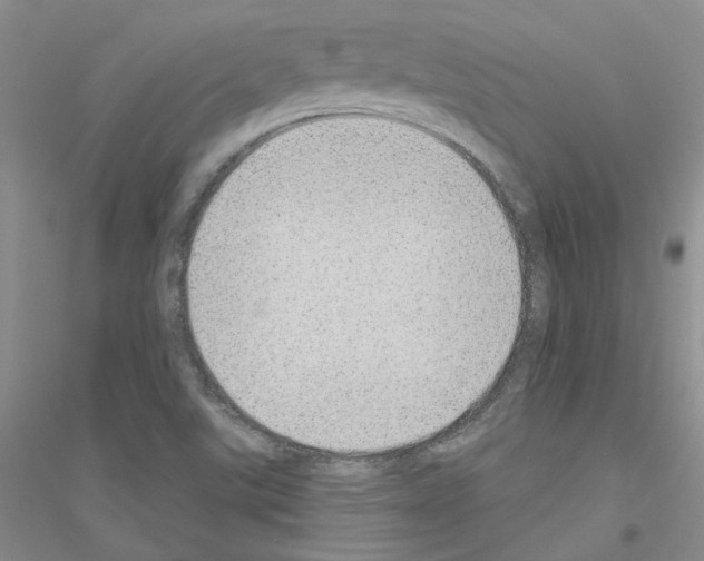 X0000116891507201002021158