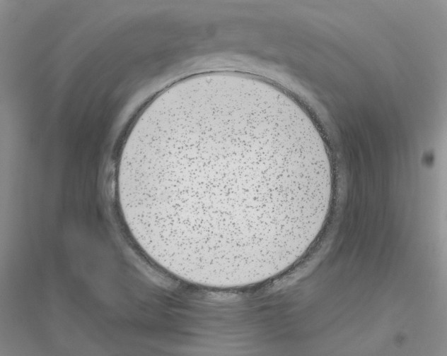 X0000116891509201002021158