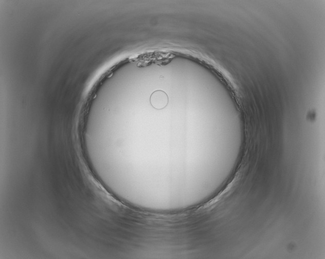 X0000116891510201002021158