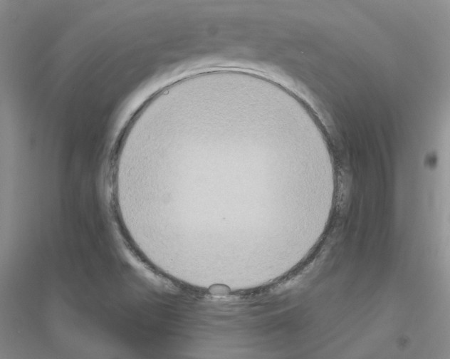 X0000116891511201002021158