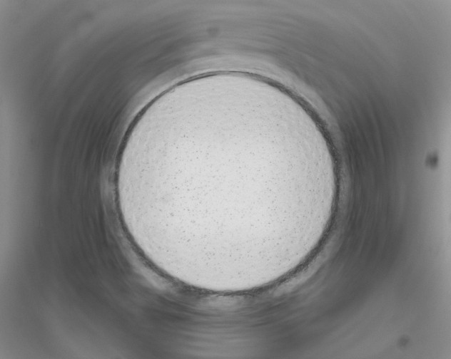 X0000116891513201002021158