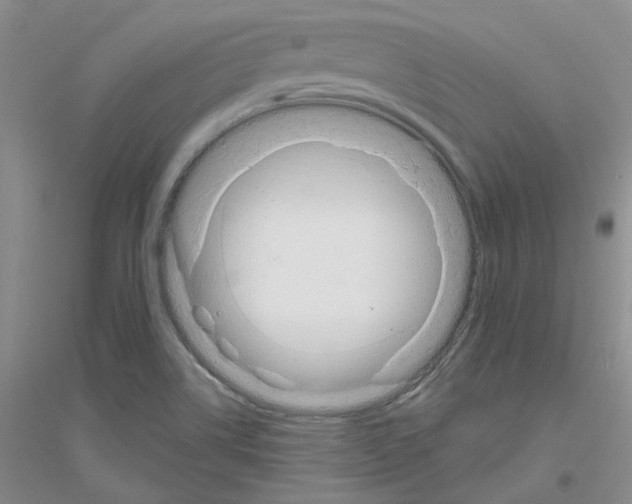 X0000116891514201002021158