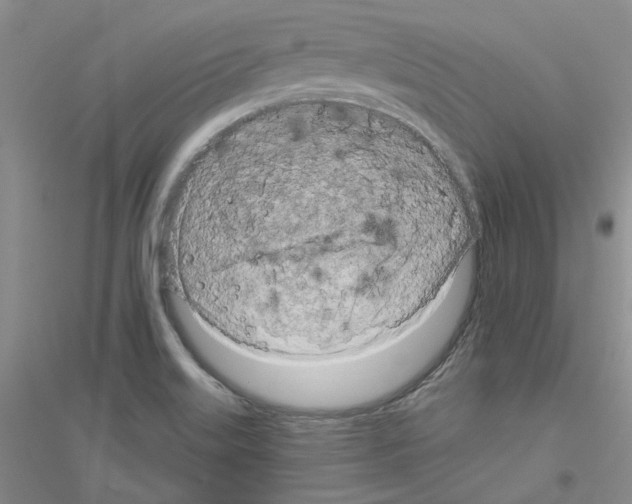 X0000116891515201002021158