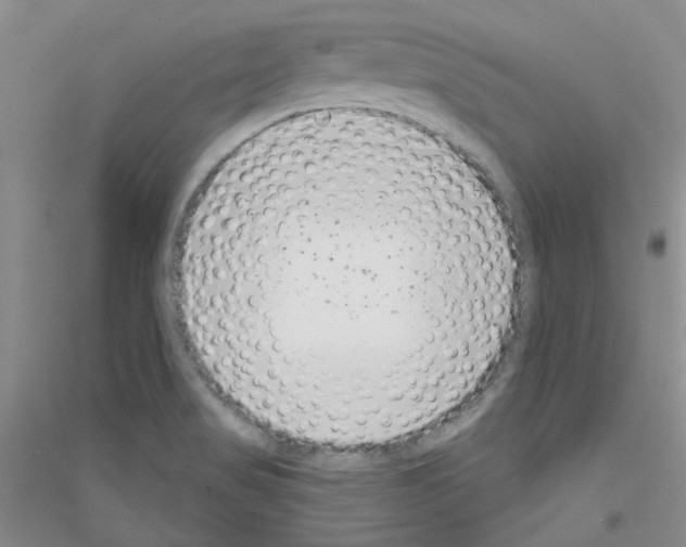 X0000116891517201002021158