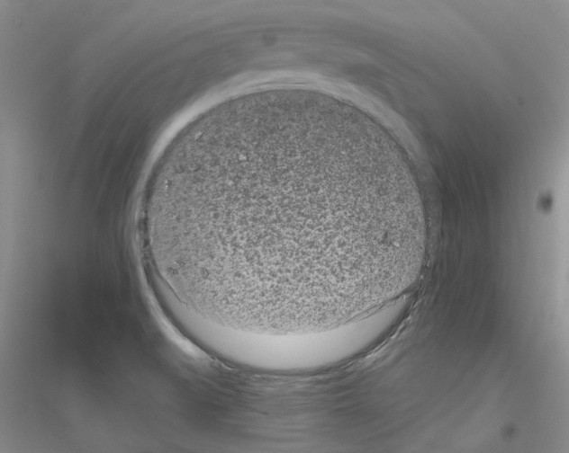 X0000116891519201002021158