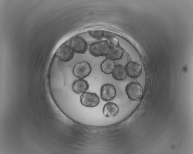 X0000116891522201002021158