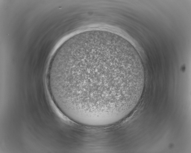 X0000116891523201002021158