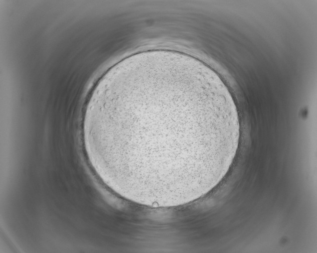 X0000116891525201002021158