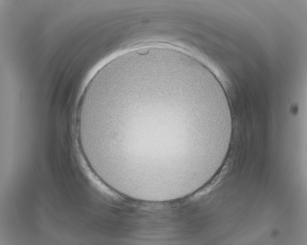 X0000116891526201002021158