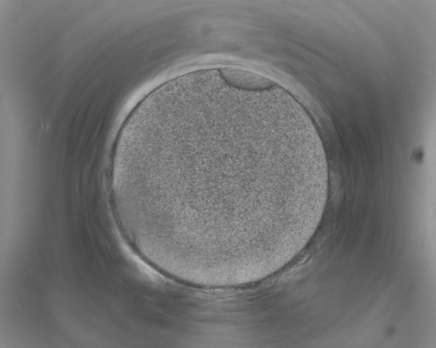 X0000116891527201002021158