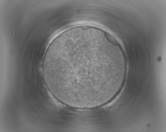 X0000116891529201002021158