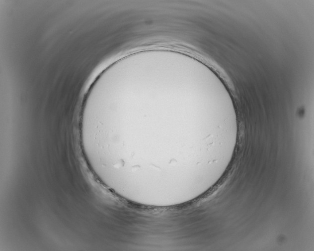 X0000116891530201002021158