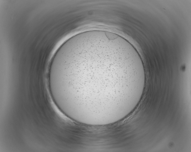 X0000116891531201002021158