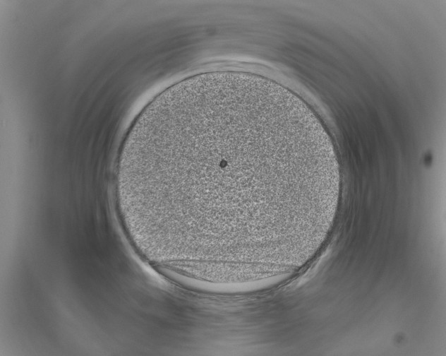 X0000116891533201002021158