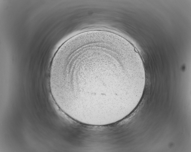 X0000116891534201002021158