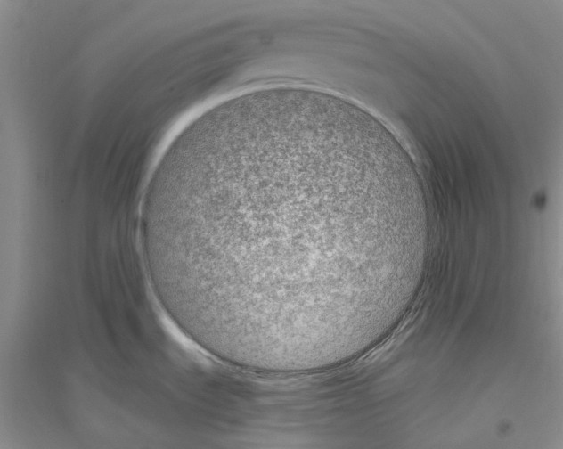 X0000116891535201002021158